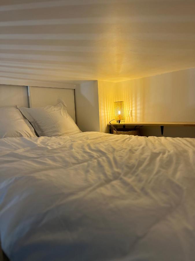 Apartmán Le Nid Douillet - Hypercentre - A 2 Pas De La Gare Toulouse Exteriér fotografie